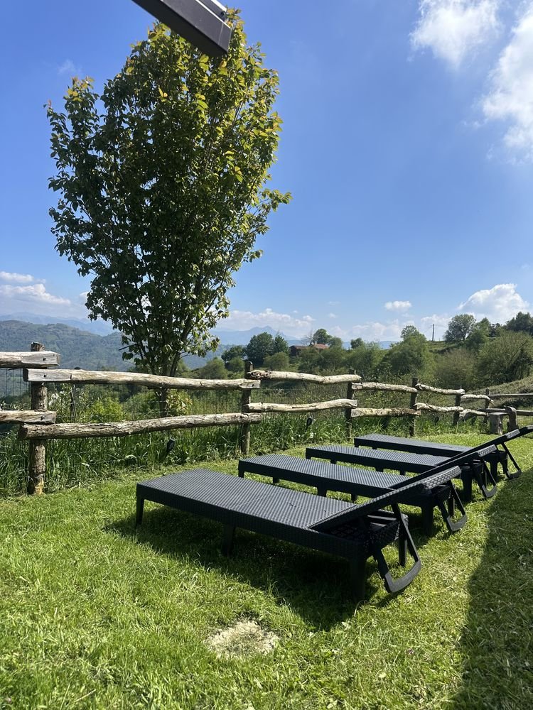 Sun loungers on the lawn