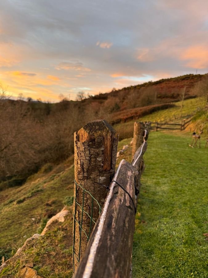 Wooden fence and meadow at sunset