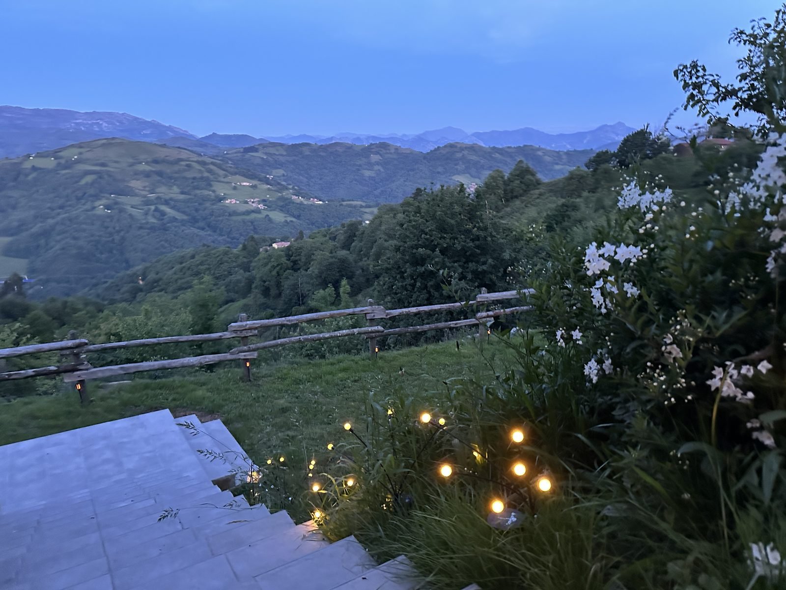 The garden at dusk, with the lights on