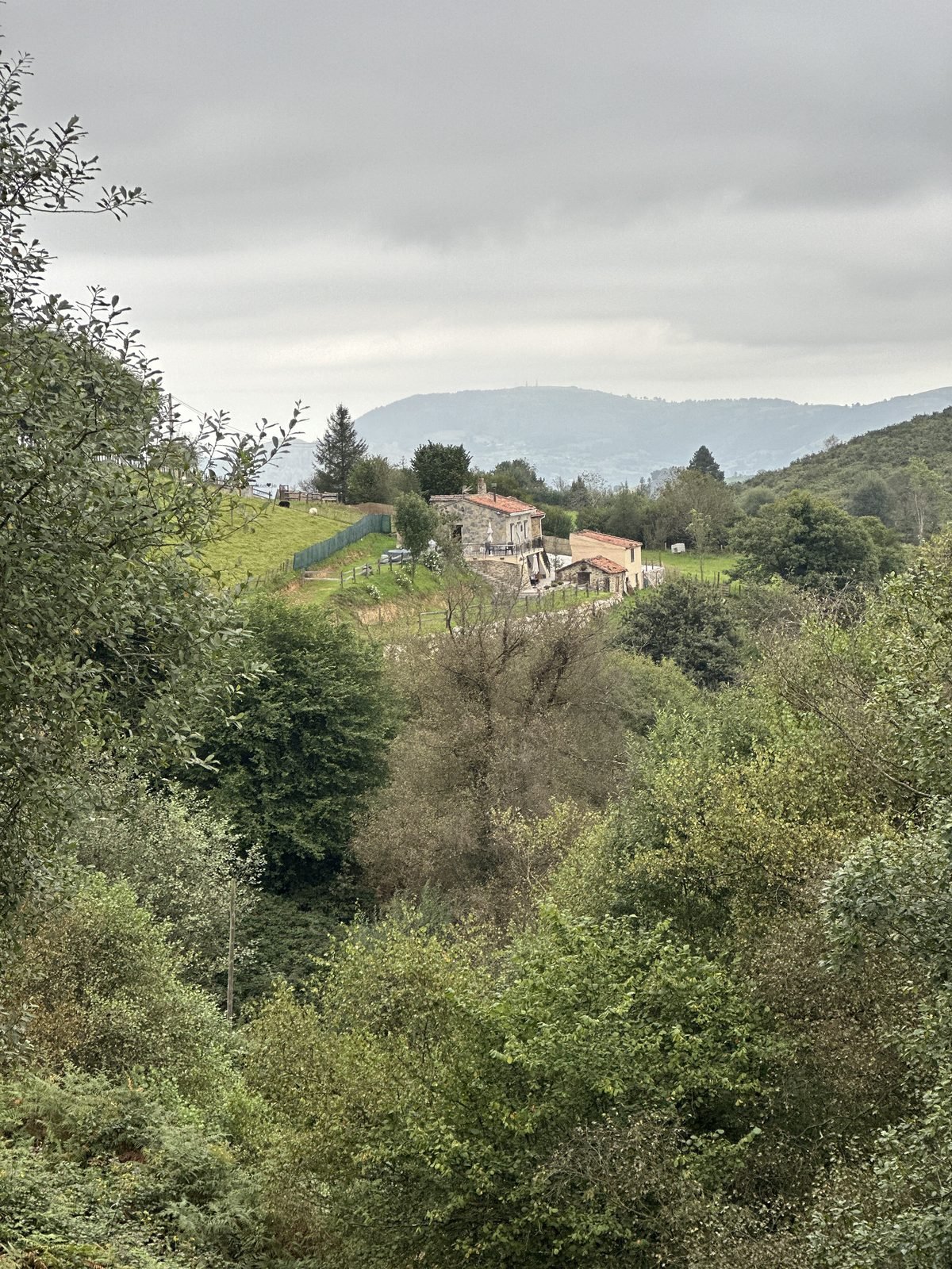 Stone houses among the woods