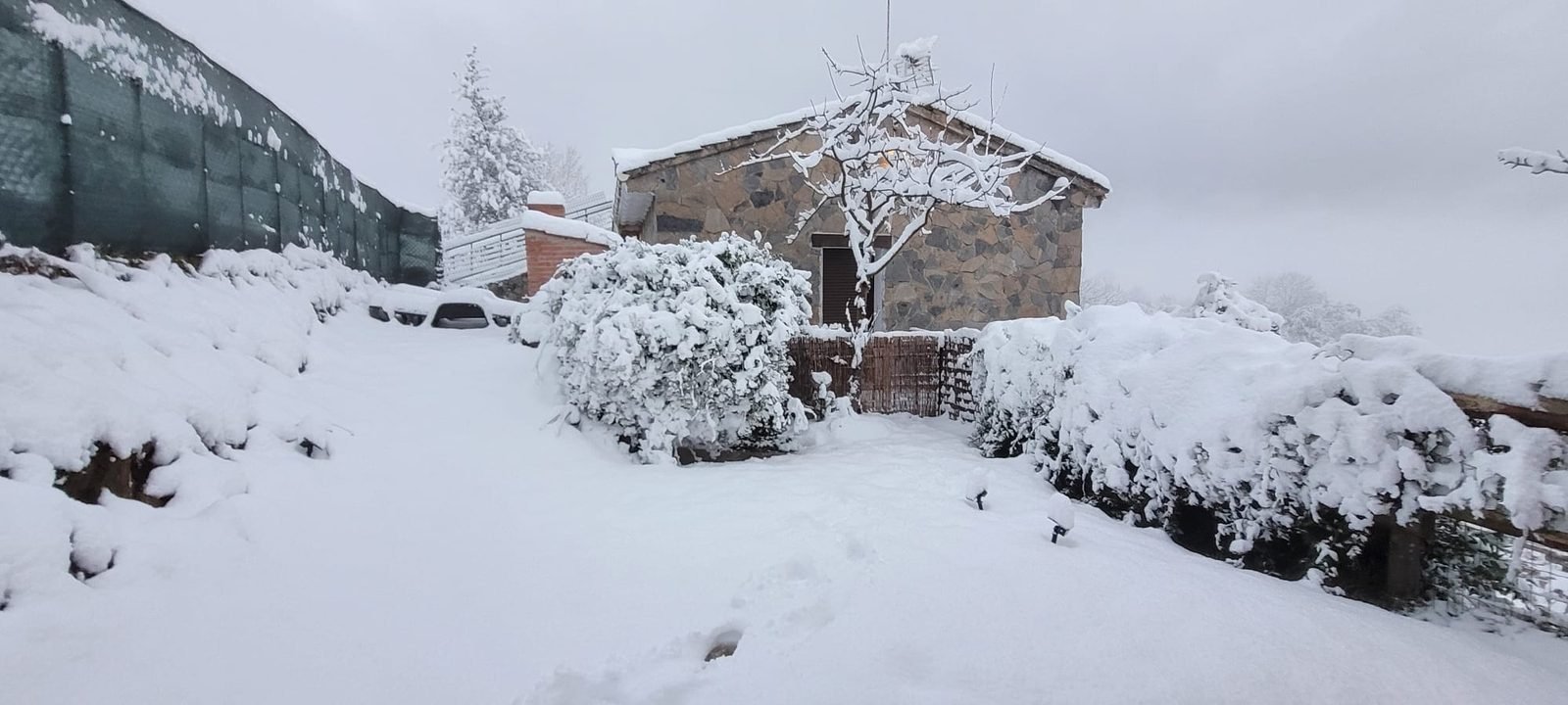 The house and garden under the snow