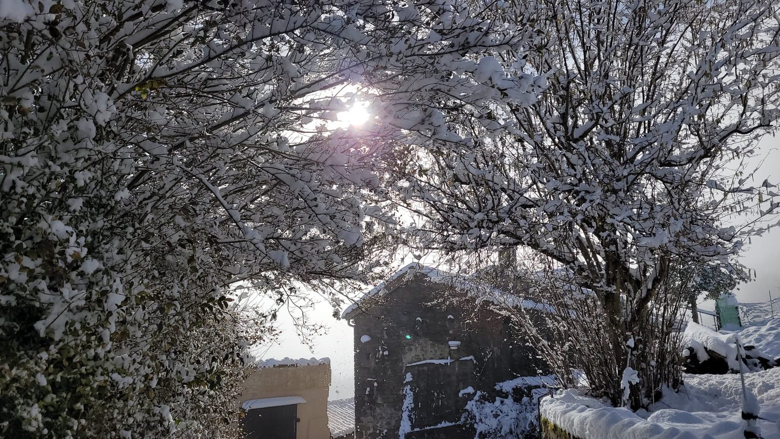 The stone house among snow-covered trees