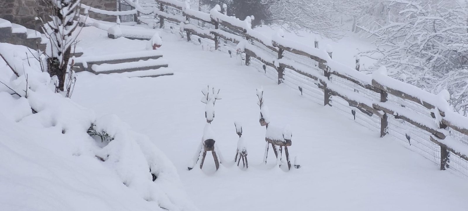 Garden steps and fence in the snow
